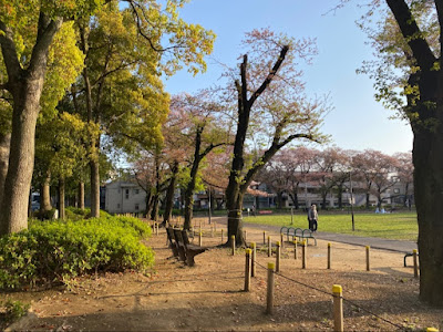 하나하타 공원 사진 5