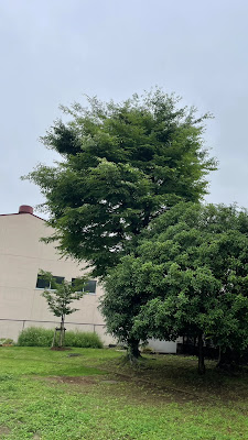 나카구미니시 공원 사진 2