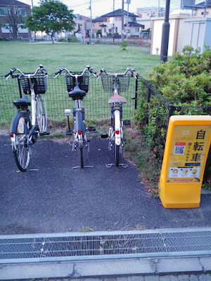 Togasaki Central Park 사진 2