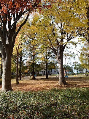 Hosonuma Park 사진 5