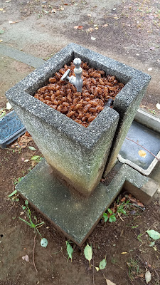 키넨쥬 공원 사진 3