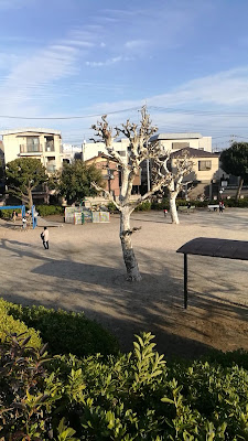 Kamiaokinishi Park 사진 2