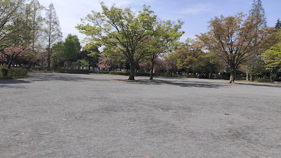Shin-Matsudo Central Park 사진 2