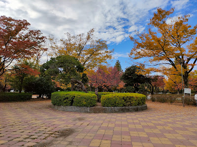 Shin-Matsudo Central Park 사진 3