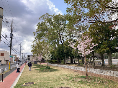 Shin-Matsudo Central Park 사진 5