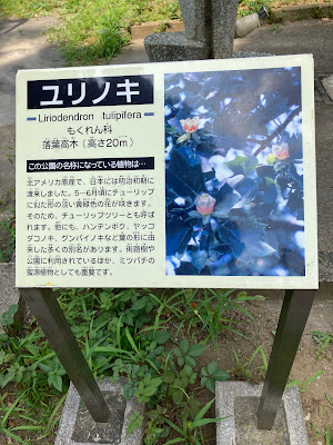 유리노키 공원 사진 5