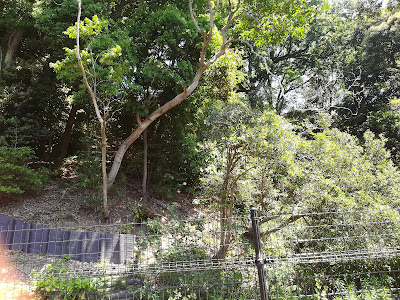 Komaoka Dōnomae Park 사진 2