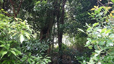 Komaoka Dōnomae Park 사진 3