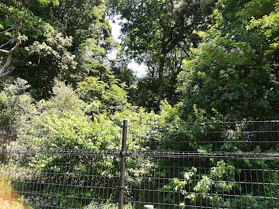 Komaoka Dōnomae Park 사진 4