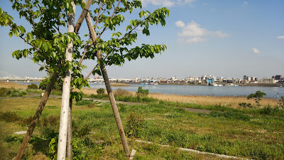 Kojimacho Green Space 사진 3