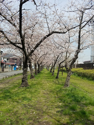 Kojimacho Green Space 사진 4