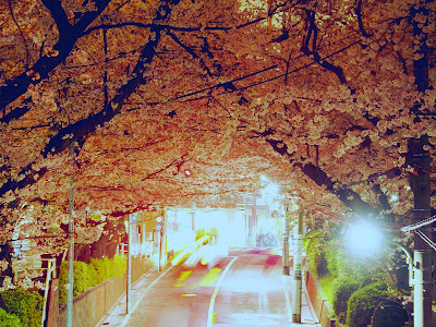 Sakura-zaka 사진 3