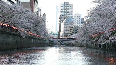 Meguro River Hanami Cruise 사진 2