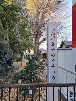 金子のイチョウ 사진 4