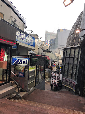 스페인자카 사진 3