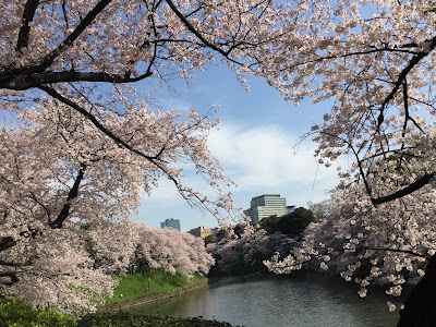 에도 성 한조몬 사진 3