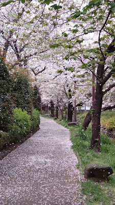Ichinoesakaigawa Water Park 사진 2