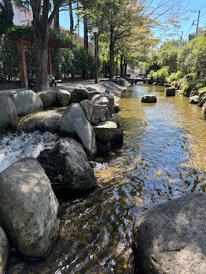 Ichinoesakaigawa Water Park 사진 3