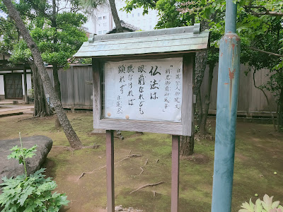 혼류지 사진 4