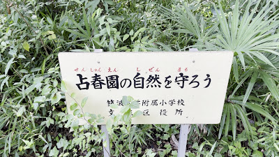 센슌 엔 사진 2