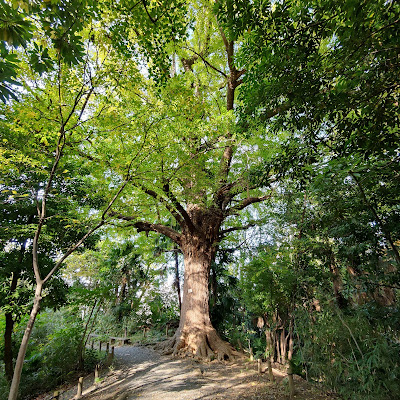 센슌 엔 사진 3