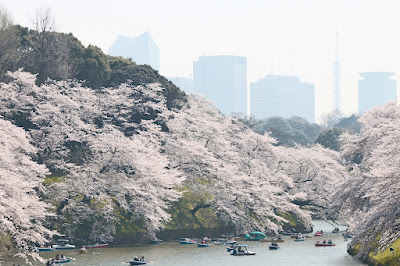 리쿠기엔 사진 5