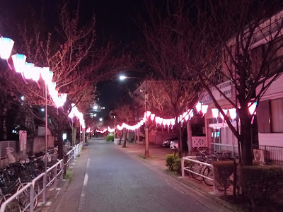 東立石桜並木 사진 2