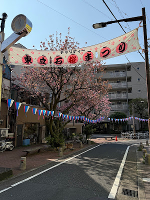 東立石桜並木 사진 5