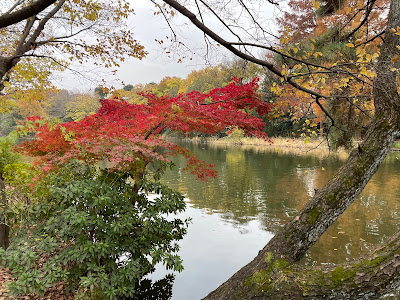 Shakujii Pond 사진 3