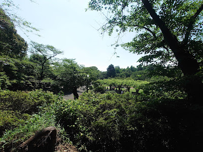 Kōnodai Castle Ruins 사진 5