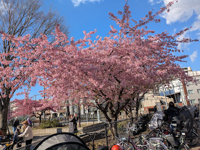 Nerima City Train View Park 사진 3