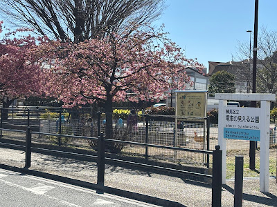 Nerima City Train View Park 사진 4