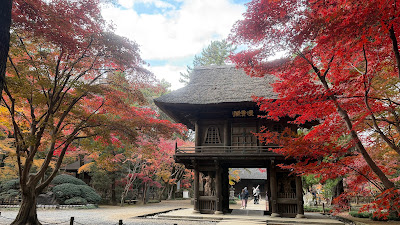 Heirin-ji Precinct Forest 사진 3