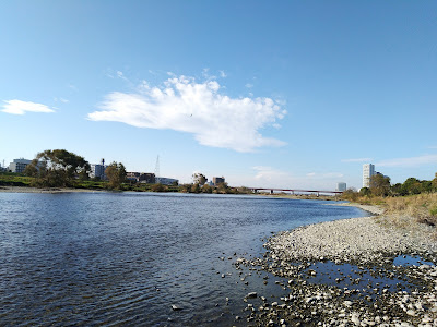 Tamagawa Recreation Ground 사진 4