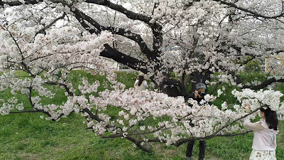 Tamagawa Recreation Ground 사진 2