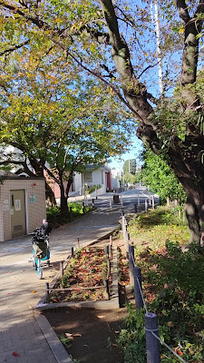 Wada Sakura-no-Saka Park 사진 2