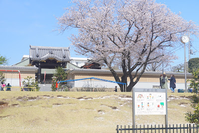 Hamasaki Park 사진 2