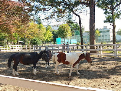 Higashi Itabashi Park 사진 3