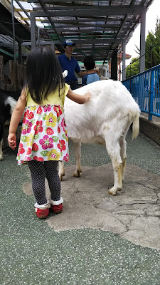 Itabashi Children's Zoo Takashimadaira Branch 사진 2