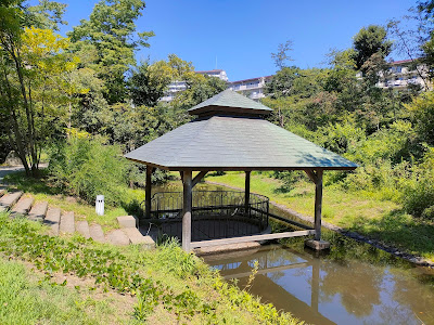 Oharaminemichi Park 사진 3