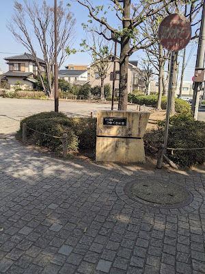 Chigasakiminamitsuyukusa Park 사진 3
