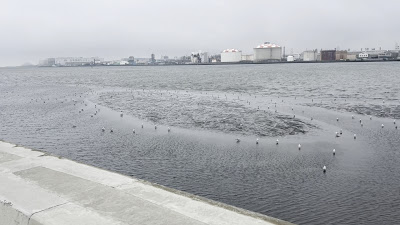 Tama River 0km Point 사진 2
