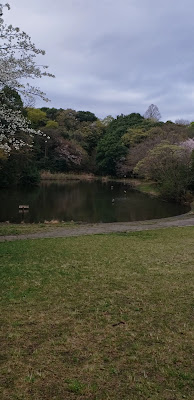 Kamoike Park 사진 2