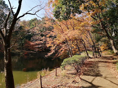 Tsuzuki Chuo Park 사진 3