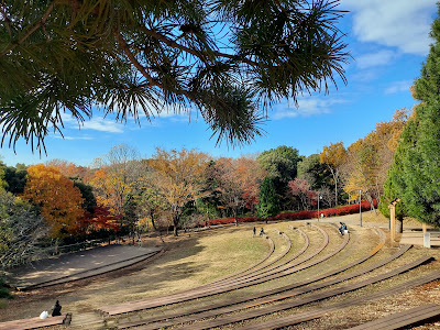 Tsuzuki Chuo Park 사진 5