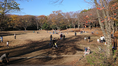 鴨池公園まんまる広場 사진 3