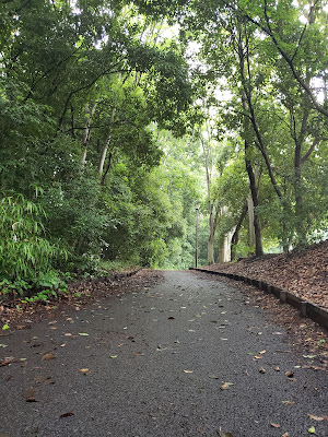 鴨池公園まんまる広場 사진 4