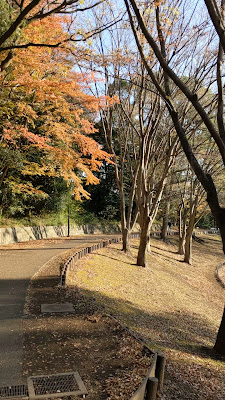 鴨池公園まんまる広場 사진 2