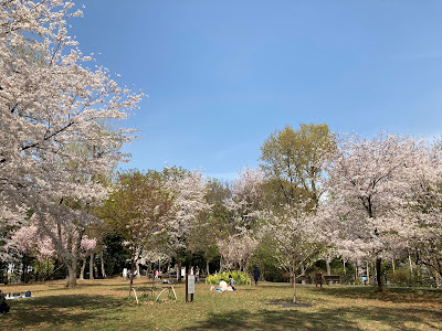 Hiyoshi no Oka Park 사진 4