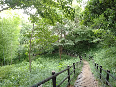 Hiyoshi no Oka Park 사진 3